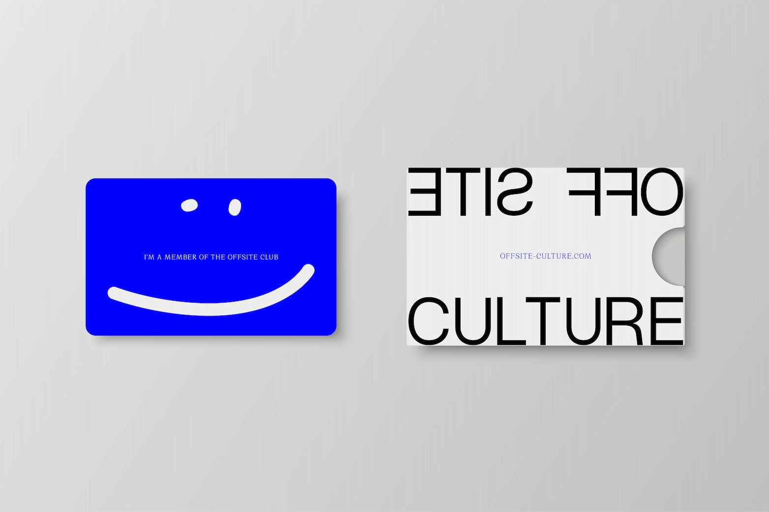 Offsite Membership - The Artist